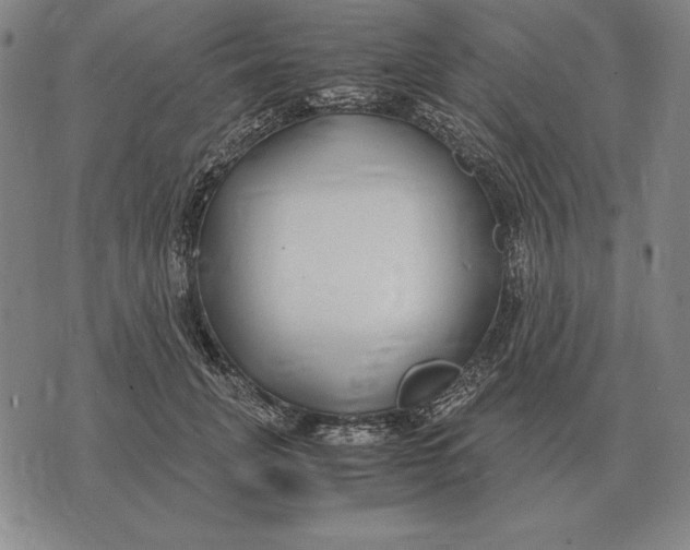 X0000071830751200607211801