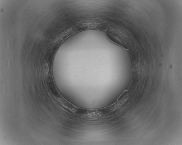 X0000071830752200607211801