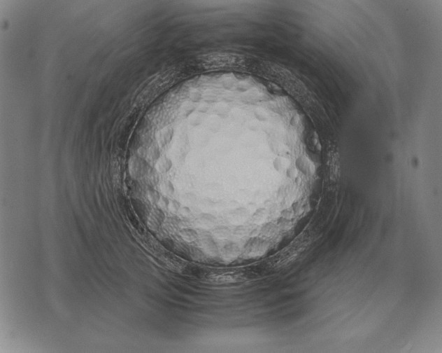 X0000071830753200607211801