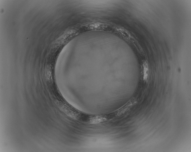 X0000071830754200607211801