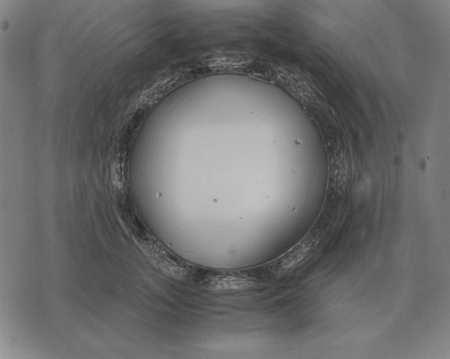 X0000071830755200607211801