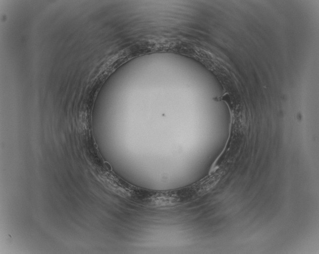 X0000071830756200607211801