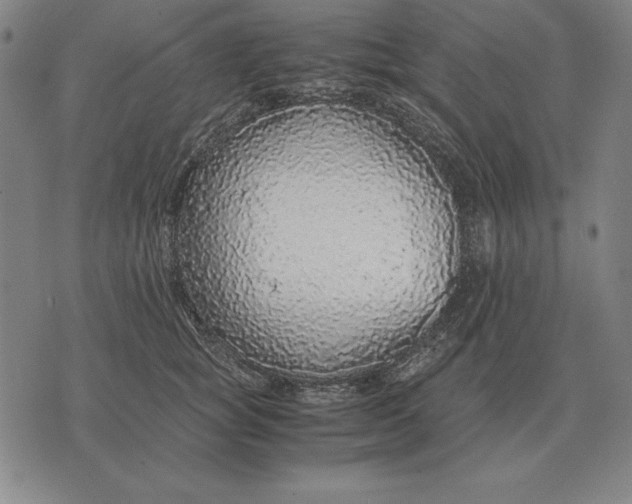 X0000071830757200607211801