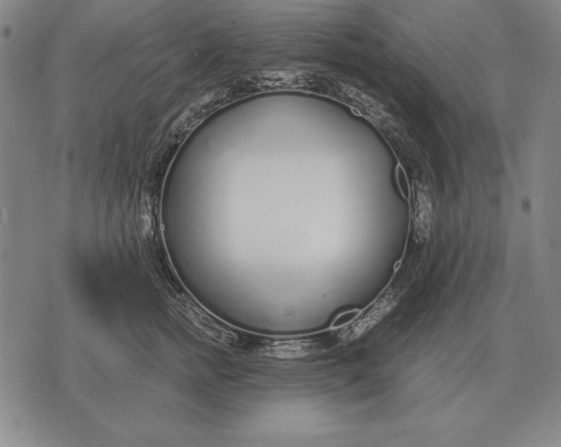 X0000071830758200607211801