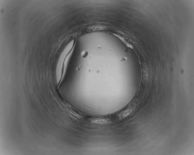 X0000071830759200607211801