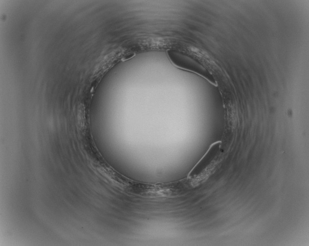 X0000071830760200607211801