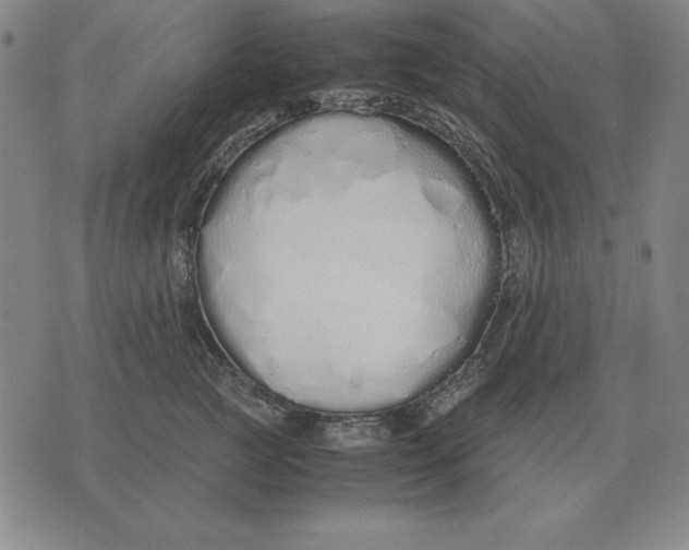 X0000071830761200607211801