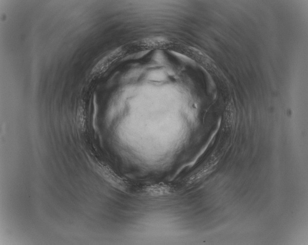 X0000071830762200607211801