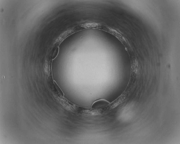 X0000071830763200607211801