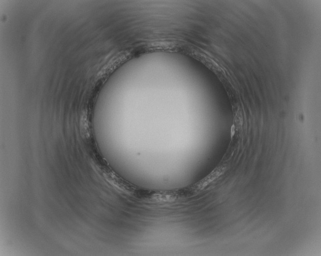 X0000071830764200607211801