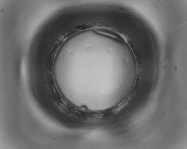 X0000071830765200607211801