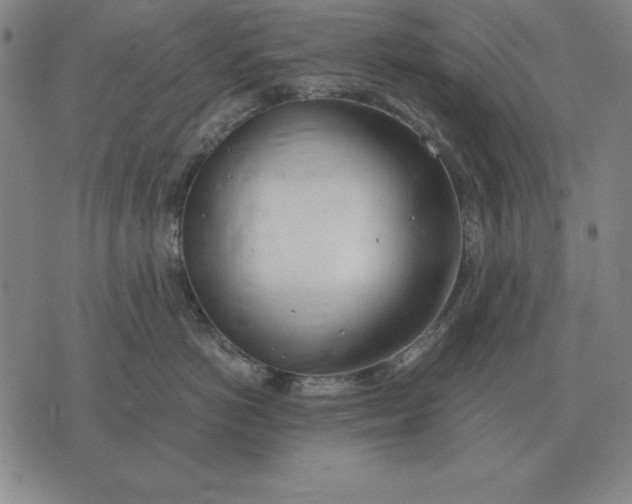 X0000071830766200607211801