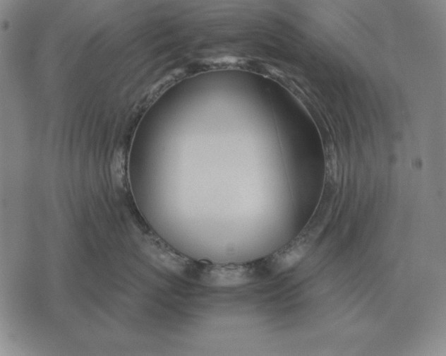 X0000071830767200607211801