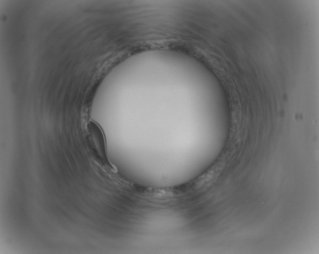 X0000071830768200607211801