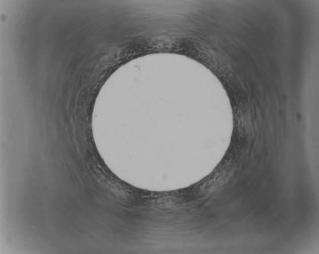 X0000071830769200607211801