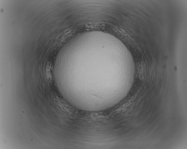 X0000071830770200607211801