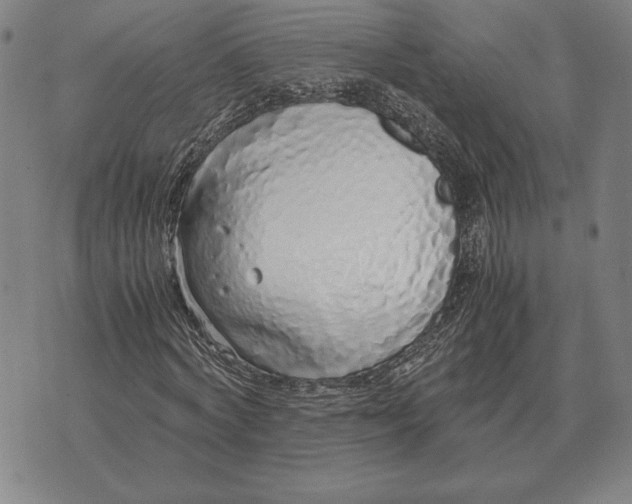 X0000071830772200607211801