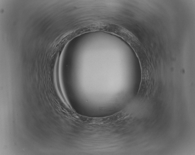 X0000071830773200607211801