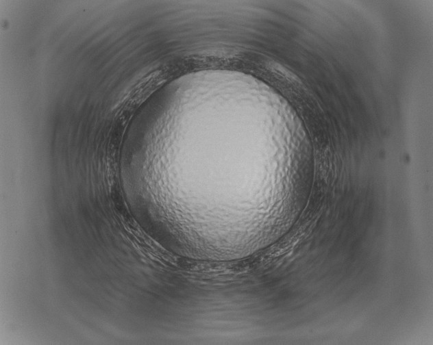 X0000071830774200607211801