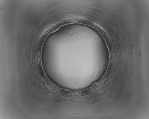 X0000071830775200607211801