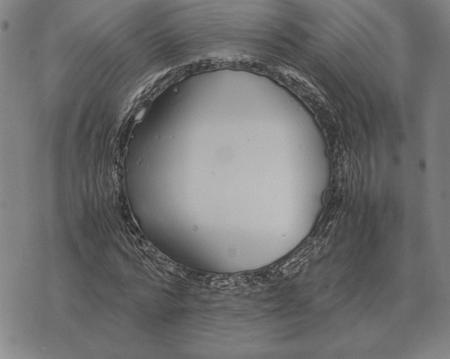 X0000071830776200607211801