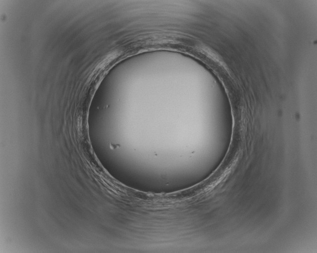 X0000071830777200607211801