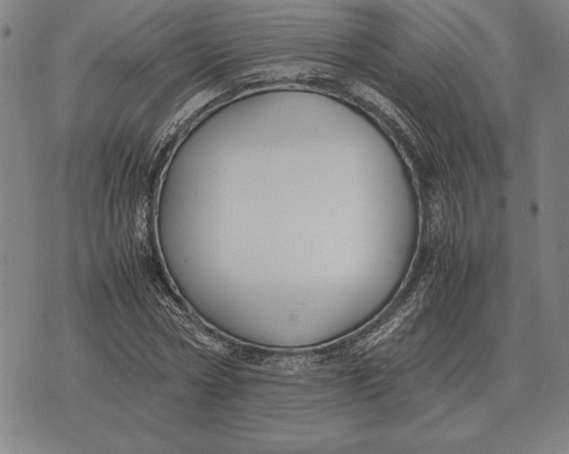 X0000071830778200607211801