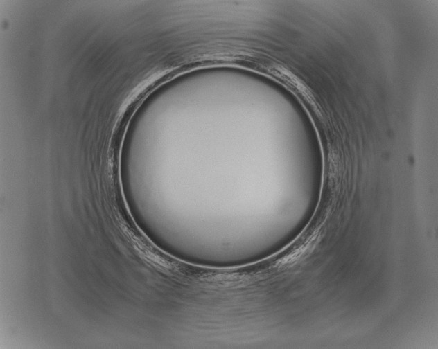 X0000071830779200607211801