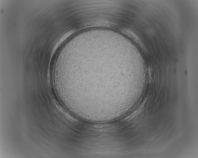 X0000071830780200607211800