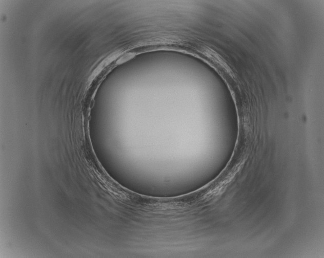 X0000071830781200607211800