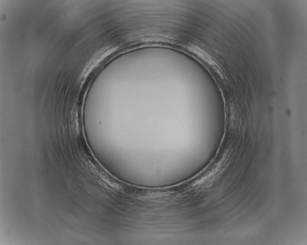 X0000071830782200607211800