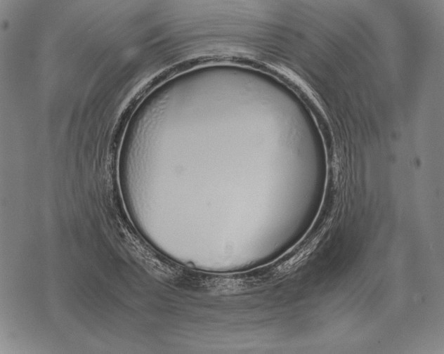 X0000071830783200607211800