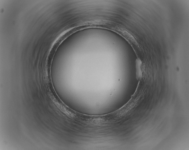 X0000071830784200607211800