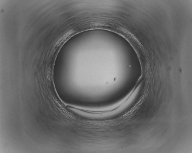 X0000071830785200607211800