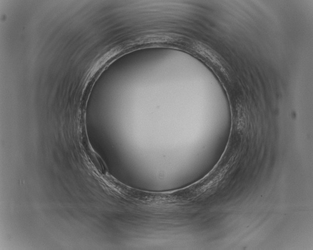 X0000071830786200607211800