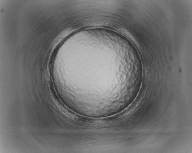 X0000071830787200607211800