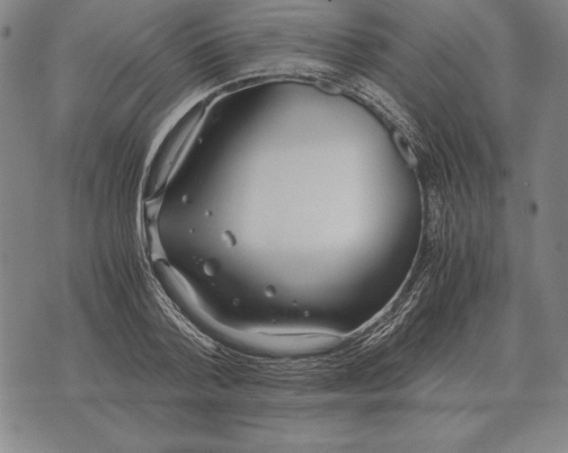 X0000071830788200607211800