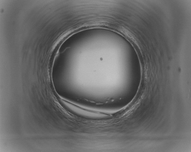 X0000071830789200607211800