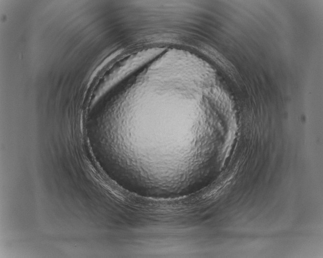 X0000071830790200607211800