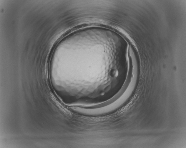 X0000071830791200607211800