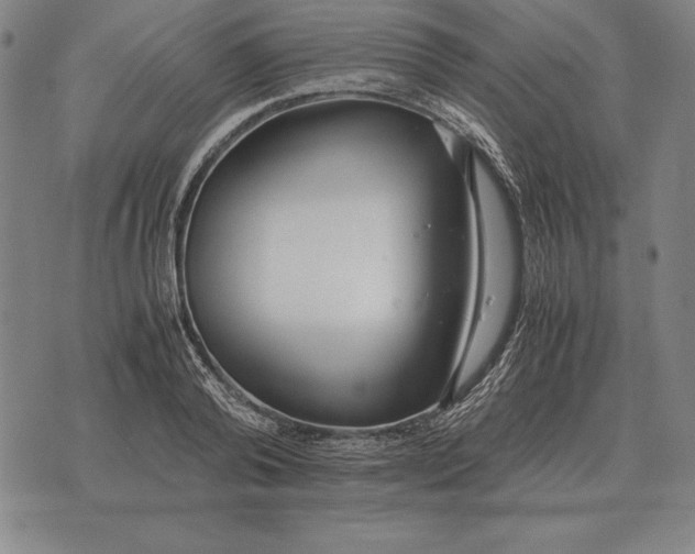 X0000071830792200607211800