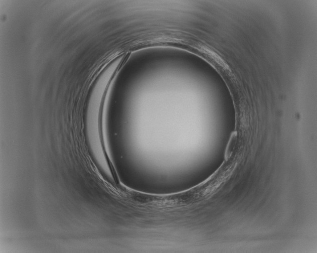 X0000071830793200607211800