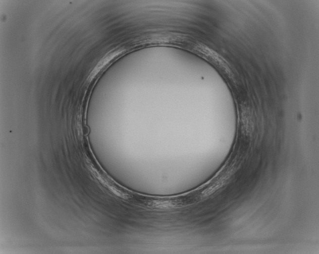 X0000071830794200607211800