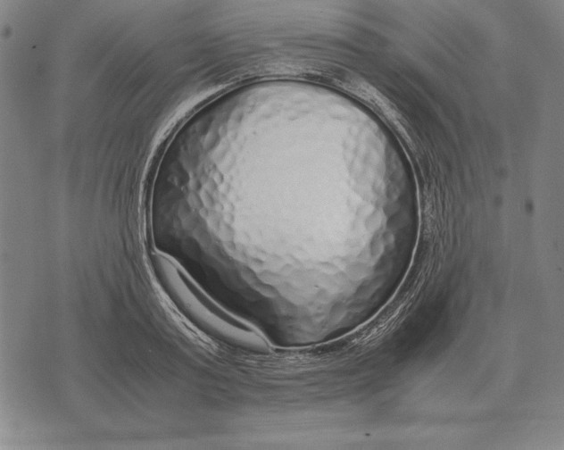 X0000071830795200607211800