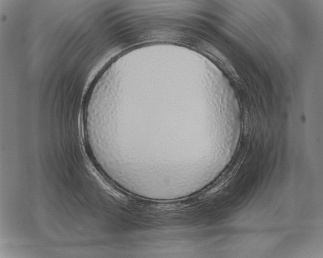 X0000071830796200607211800