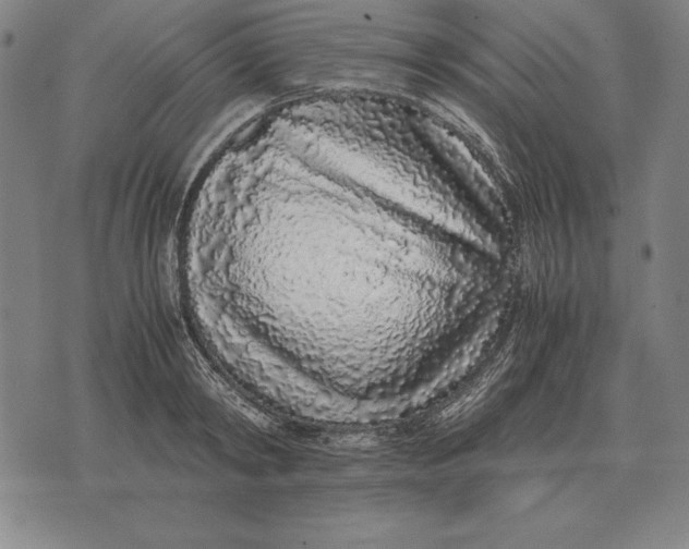 X0000071830798200607211800