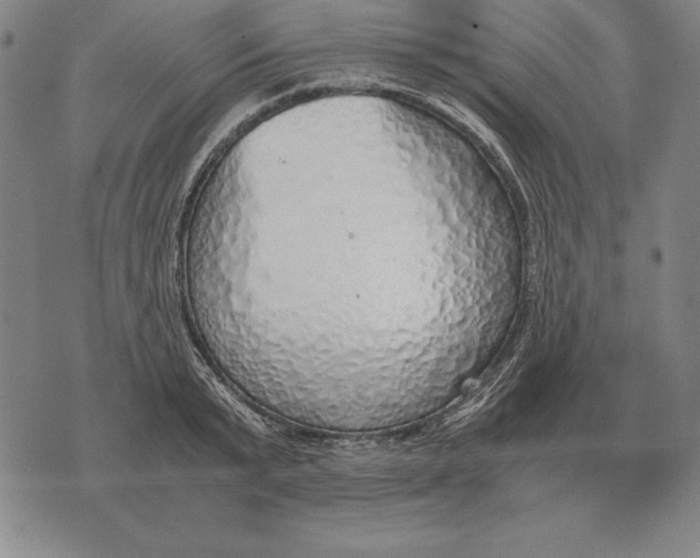 X0000071830799200607211800