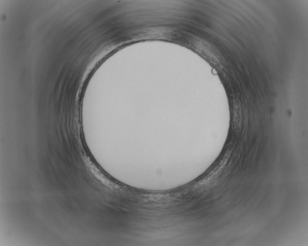 X0000071830800200607211800