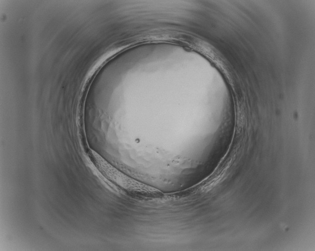 X0000071830803200607211800