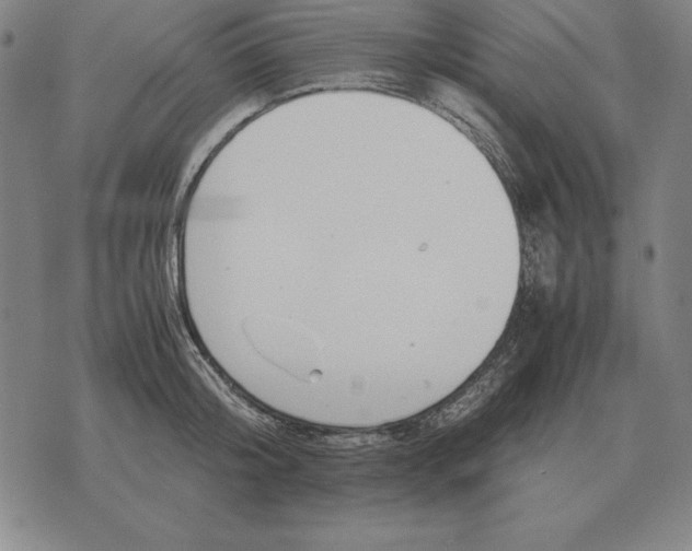 X0000071830804200607211800